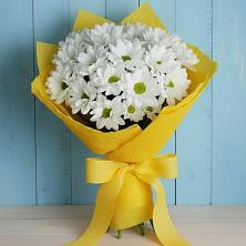 Букет цветов из:  Хризантемы в Новосергиевской