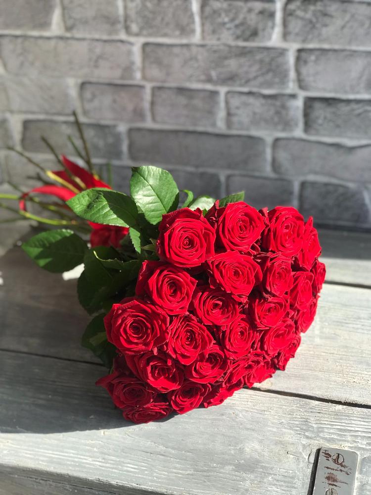 Букет Красные розы Фридом в Новосергиевской