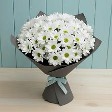Букет цветов из:  Хризантемы в Новосергиевской