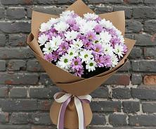 Букет цветов из:  Хризантемы в Новосергиевской