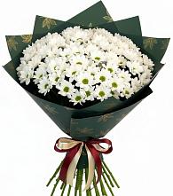 Букет цветов из:  Хризантемы в Новосергиевской