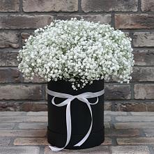 Цветочная композиция из Гипсофила в шляпной коробке #REPLACE_PRED# Новосергиевской