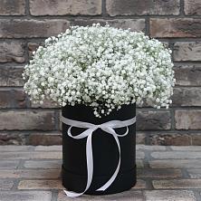 Цветочная композиция из Гипсофила в шляпной коробке в Новосергиевской