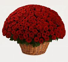 Премиум букет из: Розы в Новосергиевской