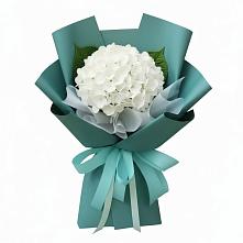 Букет цветов из:  Гортензия в Новосергиевской